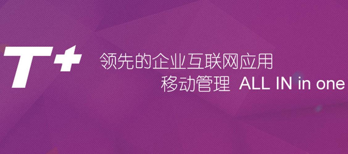 濟(jì)南用友軟件用友T+有哪些常見(jiàn)問(wèn)題？