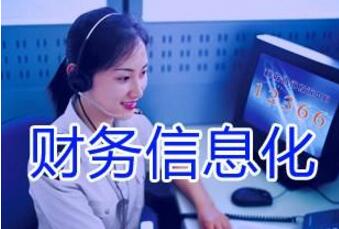 財(cái)務(wù)管理軟件